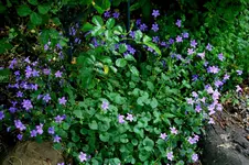 IMG_0748.webp