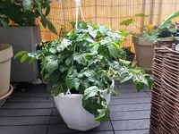 20160531_140456.jpg