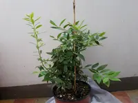 20160531_140621.jpg