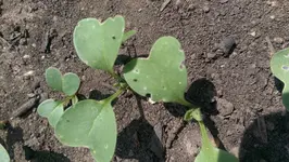 IMAG1165.webp