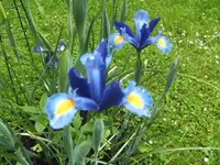 BILD5013.webp