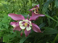 BILD5006.webp