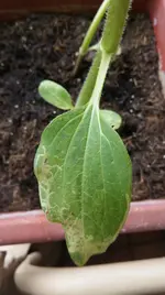 20160531_162716.webp
