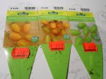 DSCN4061.jpg