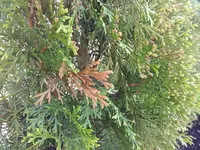 IMG_20160530_163906.webp