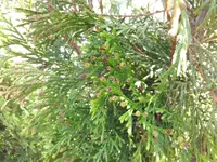 IMG_20160530_163854.webp
