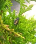 IMG_20160531_183002.webp