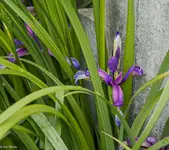IMG_0126.webp