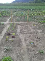 20160531_175610.webp
