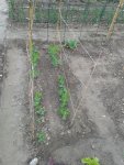 20160531_175617.jpg