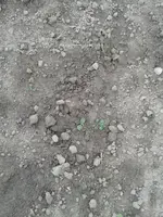 20160531_175623.webp