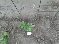 20160531_175630.jpg