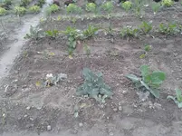 20160531_175645.webp