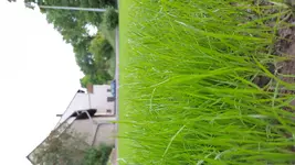 20160531_203818.webp