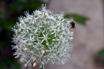 DSC_0188.jpg