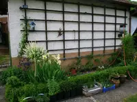 2016-05-28 Tomatenbeet.webp