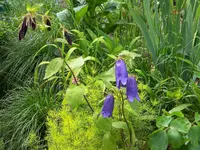 DSCN0202.webp