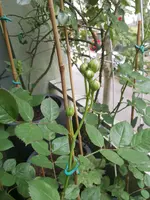 20160601_104248.webp