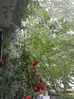 20160601_104301.webp
