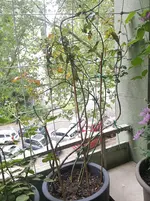 20160601_104427.webp