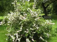 BILD5064.webp