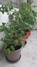 20160601_171934.jpg