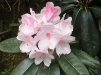 Bilda058.webp