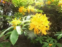Bilda065.webp