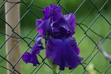 DSC05732.webp