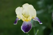 DSC05733.webp