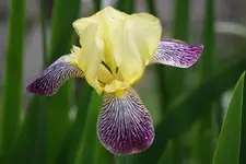 DSC05734.webp