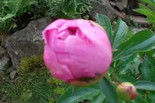 SAM_1447.webp
