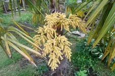SAM_1450.webp