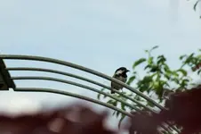DSCF6113 (3).webp