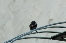 DSCF6123 (2).webp