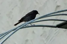 DSCF6122 (2).webp