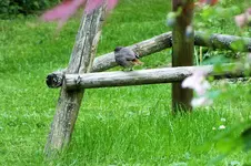 DSCF6127 (2).webp