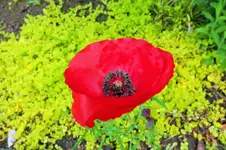 DSCF6145 (2).webp