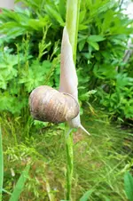 DSCF6144 (2).jpg