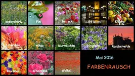Copy of Mai 2016 Farbenrausch.webp