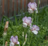 IMG_0282-2.webp