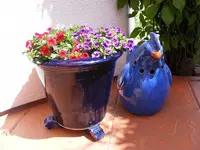 Avatarpetunien.webp