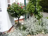 Erkerbeet.webp