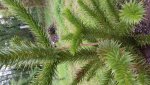 20160602_115608.jpg
