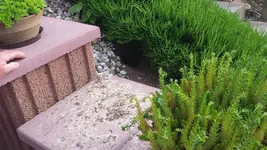 20160602_182458.webp