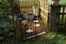 comp_DSC04998.webp