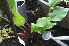 comp_DSC05003.webp