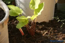 comp_DSC05004.webp
