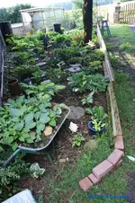 comp_DSC04997.webp