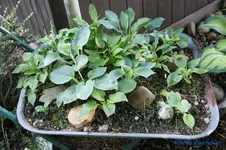 comp_DSC05005.webp